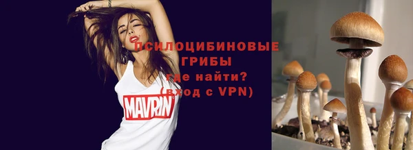 эйфоретик Алексин