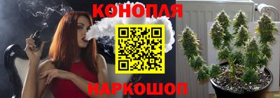 гидра Лесосибирск