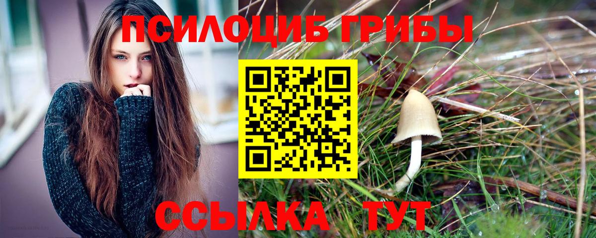 Уссурийск  Псилоцибиновые грибы MAGIC MUSHROOMS  Вход с VPN 